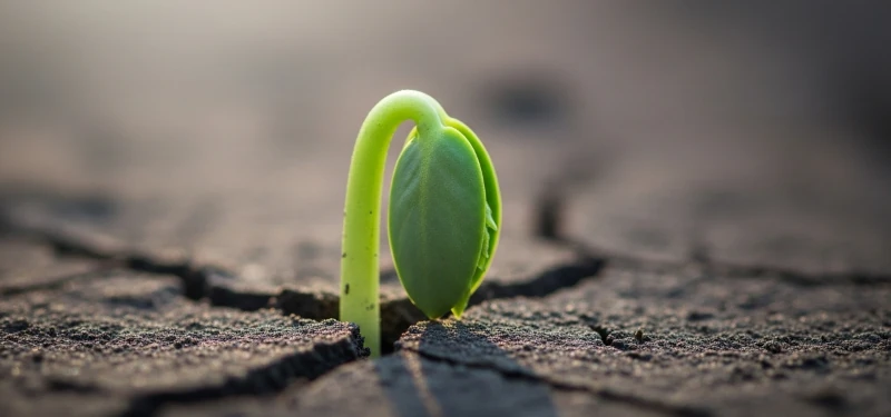 When the storms of life hit, how do we find our footing? This piece is a gentle inner monologue about turning one's gaze toward small hopes in the face of changes like layoffs and moving. It speaks of looking forward to an unknown home, the daily fluctuations of investments, and every new stage of a plant's growth. It reminds us that to live, one must always have something to look forward to; even the faintest glimmers of light can illuminate the path ahead.